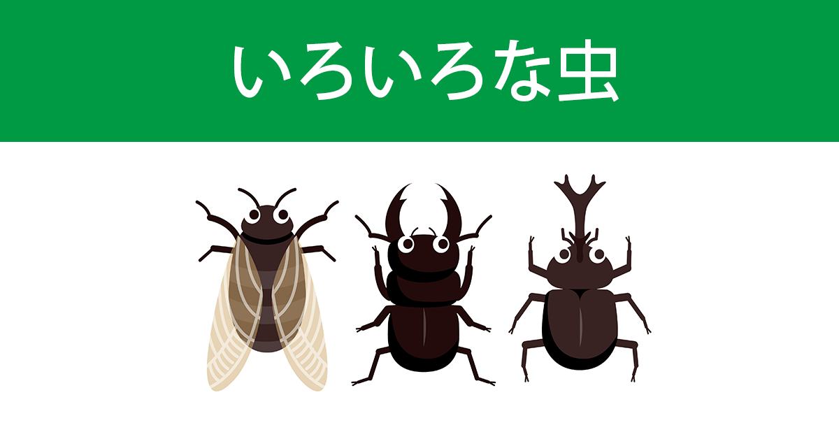 各種昆蟲的日文